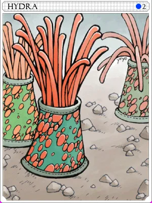 Arte de Carta Hidra