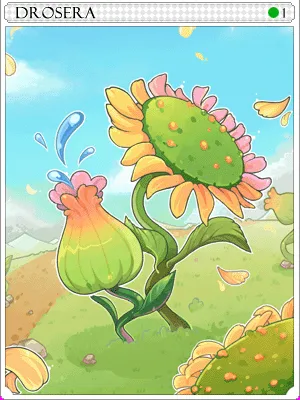 Arte de Carta Drosera