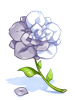 Ilustração de Flor Bicolor