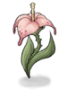 Ilustração de Flor Selvagem