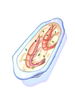 Ilustração de Gratinado de Chilli