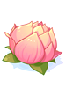 Ilustração de Flor de Lótus
