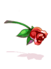 Ilustração de [Visual] Rosa da Sedução