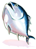 Ilustração de Amuleto Atum Fresco [1]