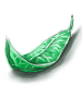 Ilustração de Erva Verde