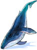 Ilustração de Baleia Azul