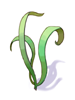 Ilustração de Planta da Melodia
