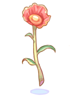 Ilustração de Flor Celestial