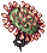 Solid Drosera
